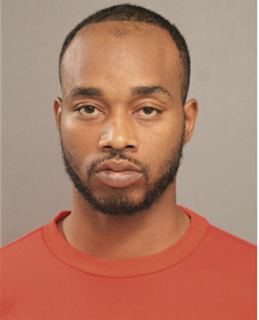 AARON J HAMILTON, Cook County, Illinois