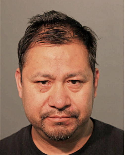 LUIS M HIPOLITO, Cook County, Illinois