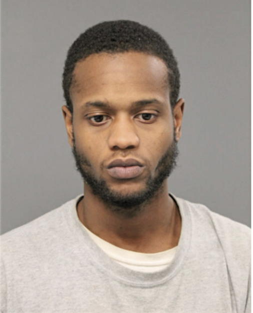 DAVID J JONES, Cook County, Illinois