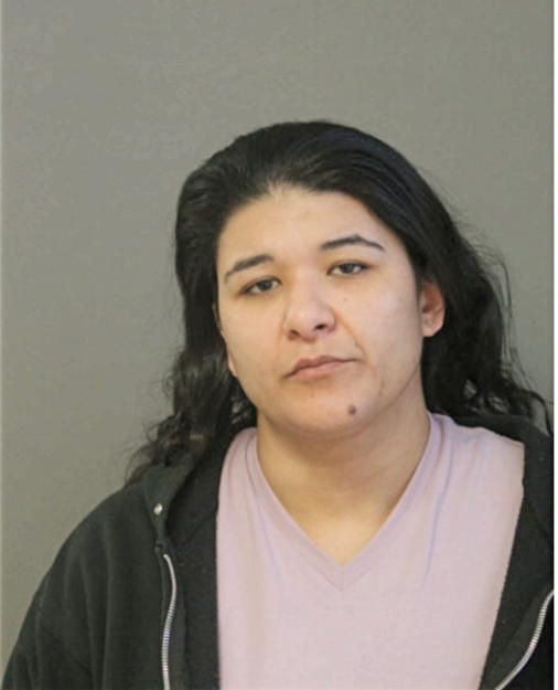 NICOLE L HERRERA, Cook County, Illinois
