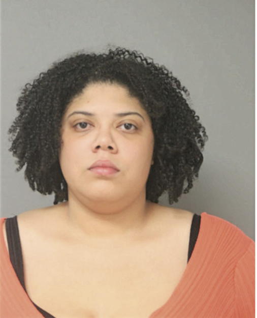 MELISSA L LYONS, Cook County, Illinois