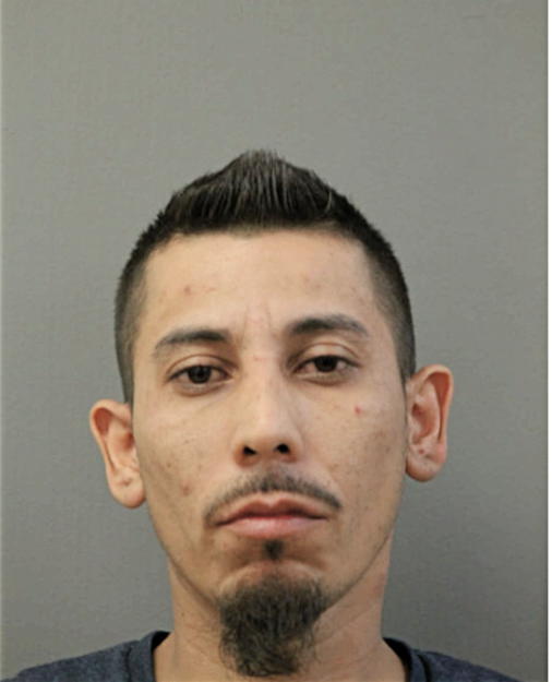 RICARDO O MARQUEZ, Cook County, Illinois
