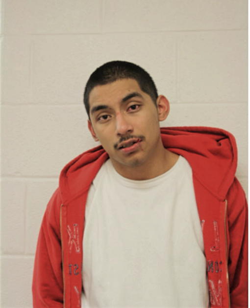 DANIEL A MARTINEZ, Cook County, Illinois