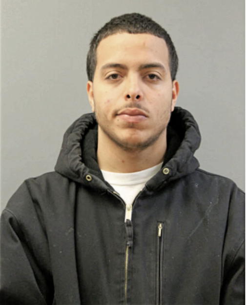 NEFTAL S MEDINA-CARABALLO, Cook County, Illinois