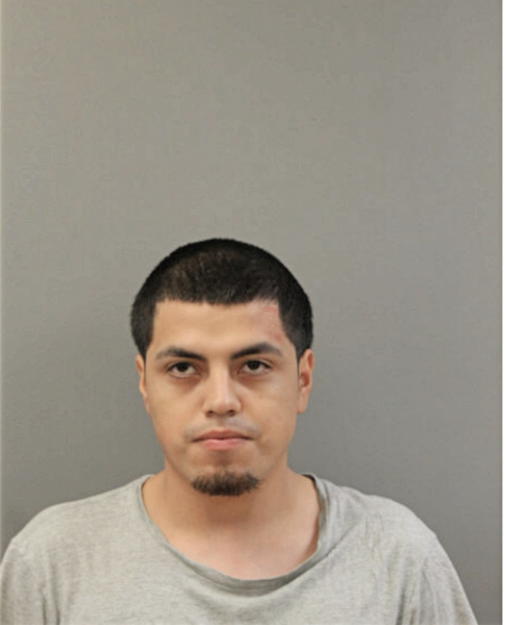 MIGUEL POPOCA, Cook County, Illinois