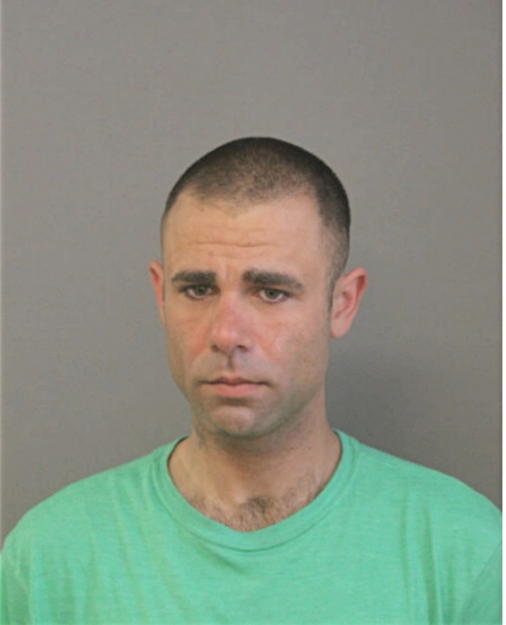 MATTHEW D RANDAZZO, Cook County, Illinois