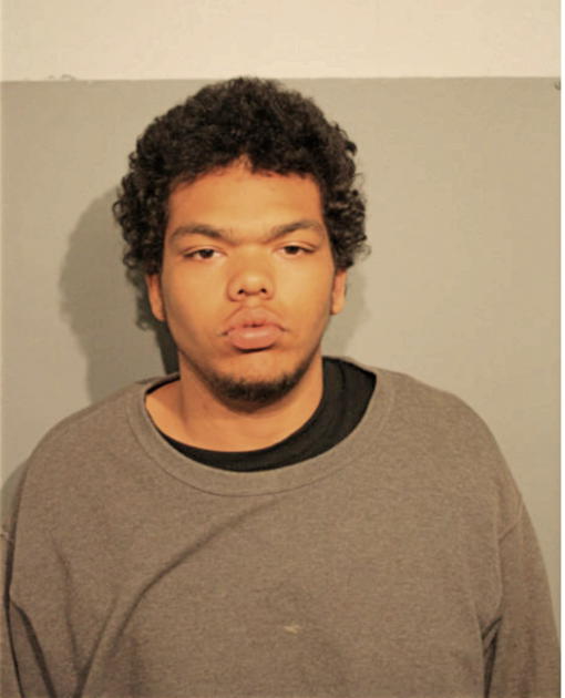 ZACHARY T SWANIGAN, Cook County, Illinois