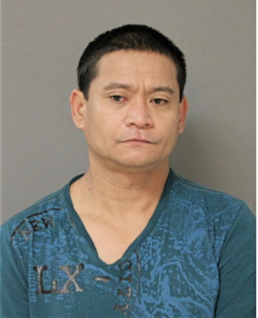 NELSON L TIU, Cook County, Illinois