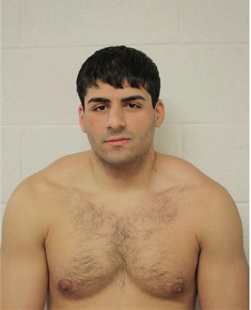 CHRISTOPHER G ZANAYED, Cook County, Illinois