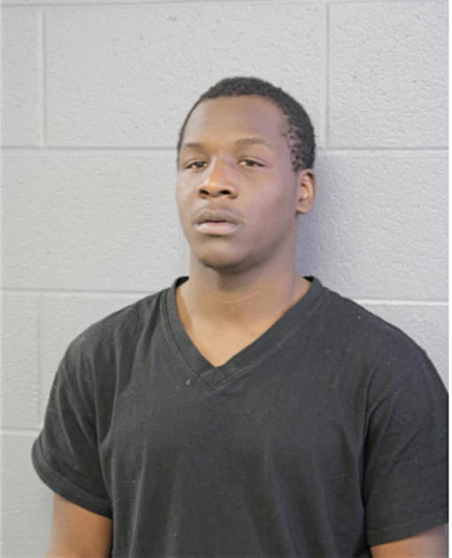 WALTER L ANDERSON, Cook County, Illinois