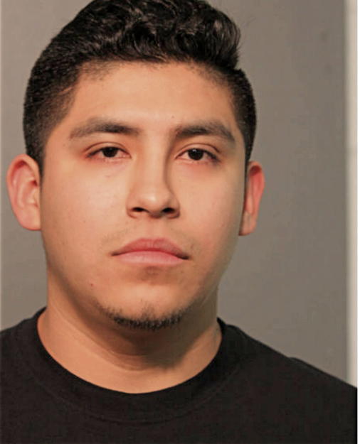 LUIS H ARRIOLA-FISCAL, Cook County, Illinois