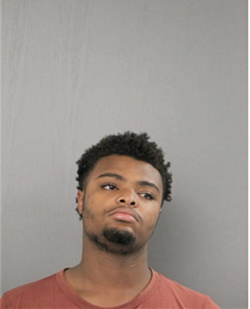 CELEBEIN C BRANTLEY, Cook County, Illinois