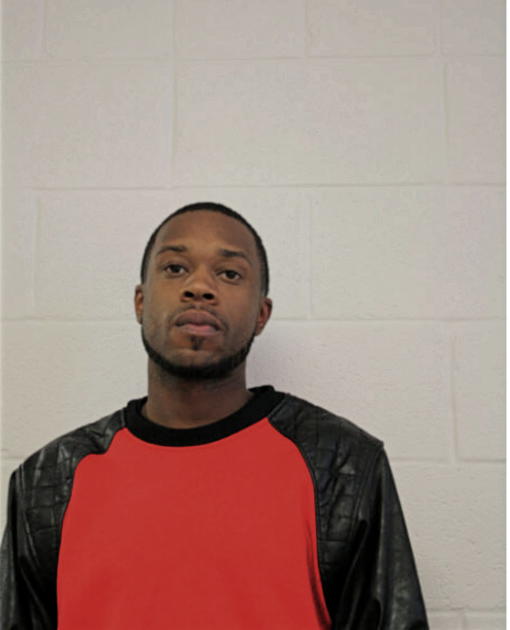 MICHAEL G BURKETT, Cook County, Illinois