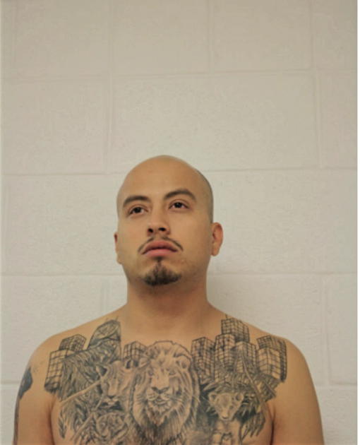 LUIS R CANDELARIA, Cook County, Illinois