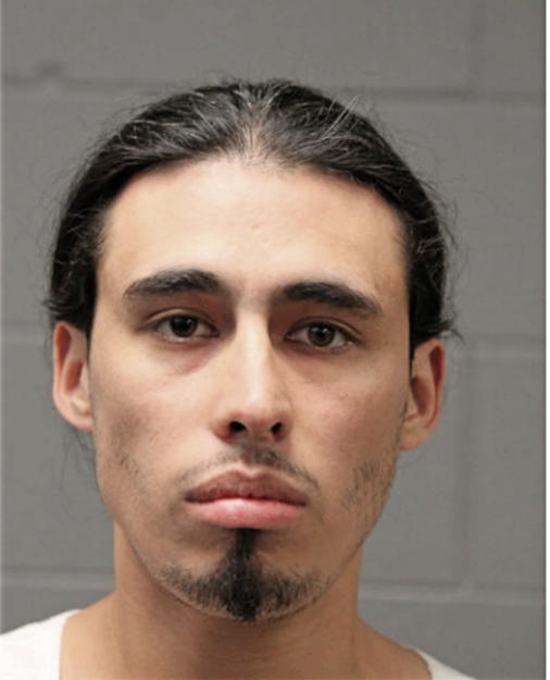 SALVADOR JONATHAN CHAVEZ, Cook County, Illinois