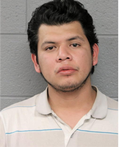JOSE M CISNEROS, Cook County, Illinois