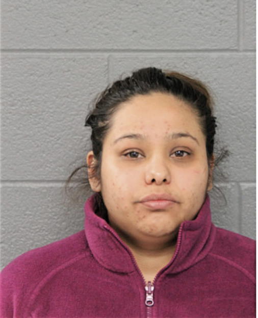 VANESSA M DOMINGUEZ, Cook County, Illinois