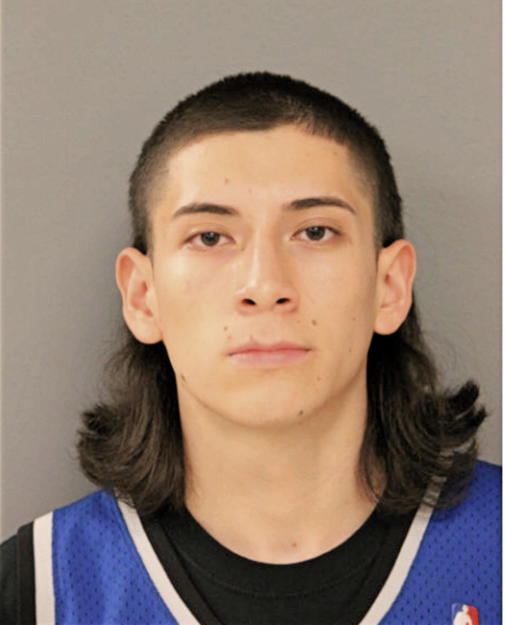 LUIS DURAN, Cook County, Illinois