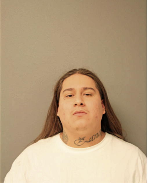 NOEL A HERNANDEZ, Cook County, Illinois