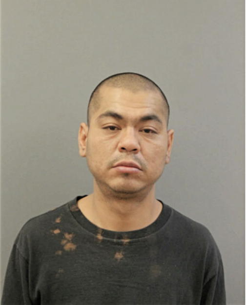 RENE A HERRERA, Cook County, Illinois