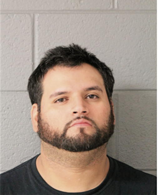 HECTOR A LAMAS-DELGADILLO, Cook County, Illinois