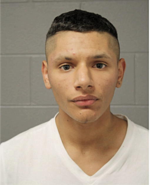 VICTOR LARA, Cook County, Illinois