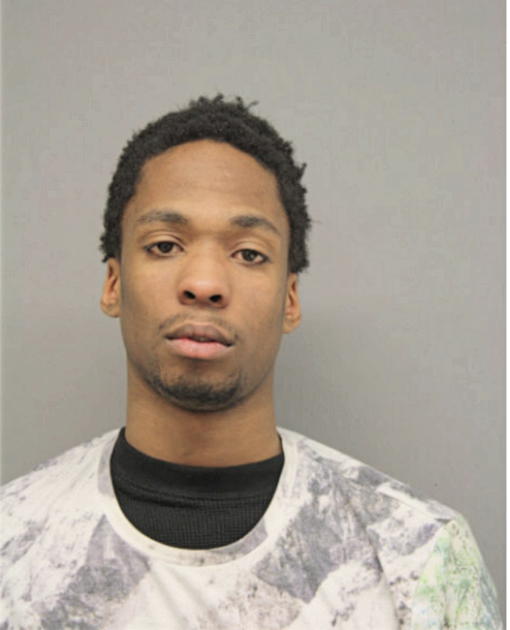 DWAYNE M LIBERTY, Cook County, Illinois