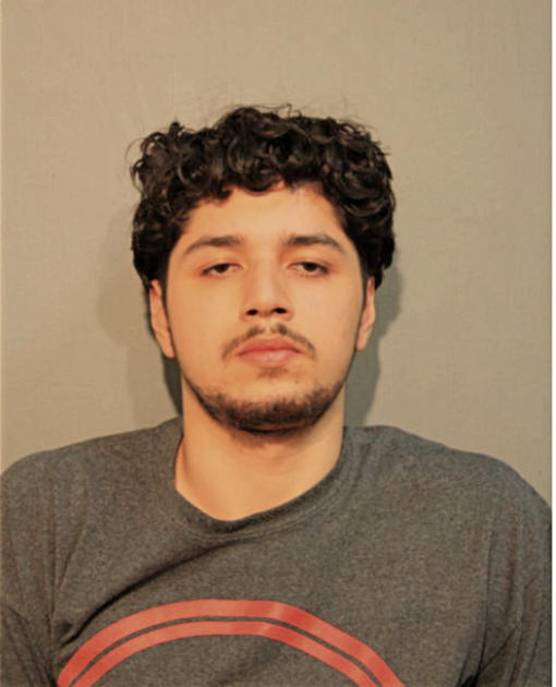 MATTHEW J MEDRANO, Cook County, Illinois