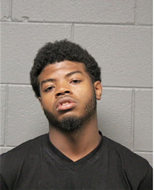 CHRISTOPHER L NEAL, Cook County, Illinois