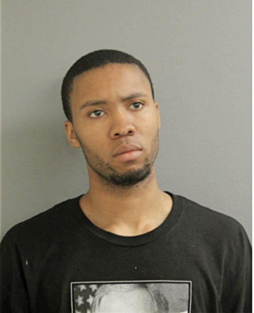 AMON T PALMER, Cook County, Illinois