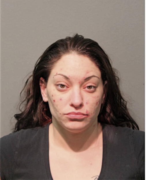 AMANDA K PALZ, Cook County, Illinois