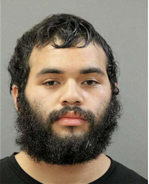 JESUS R PELLICIER, Cook County, Illinois
