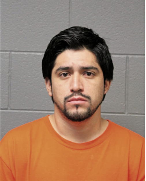 DANIEL ROSALES-FLORES, Cook County, Illinois