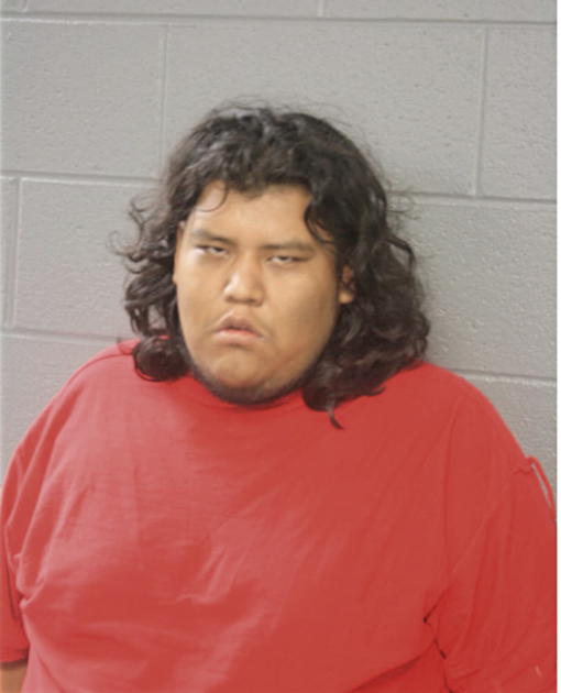 JORGE TELLEZ, Cook County, Illinois