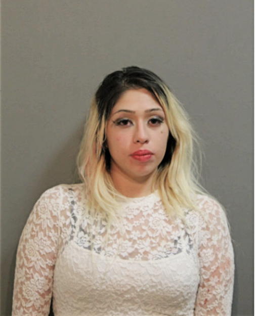 CORINA TORRES, Cook County, Illinois