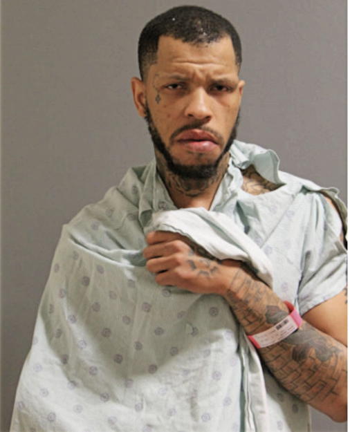 DAVID M WOODS, Cook County, Illinois