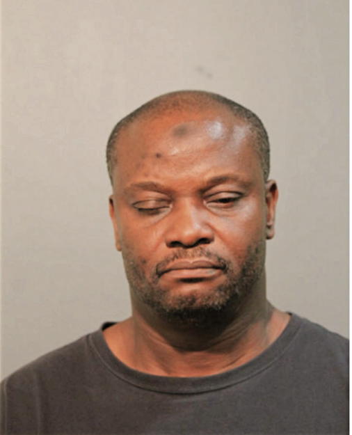 JELILI A ADEDOYIN, Cook County, Illinois
