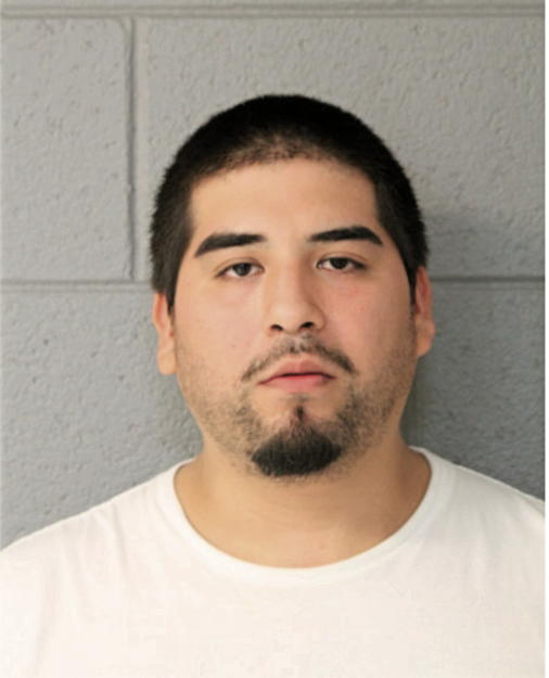 JAIME ALBERTO, Cook County, Illinois