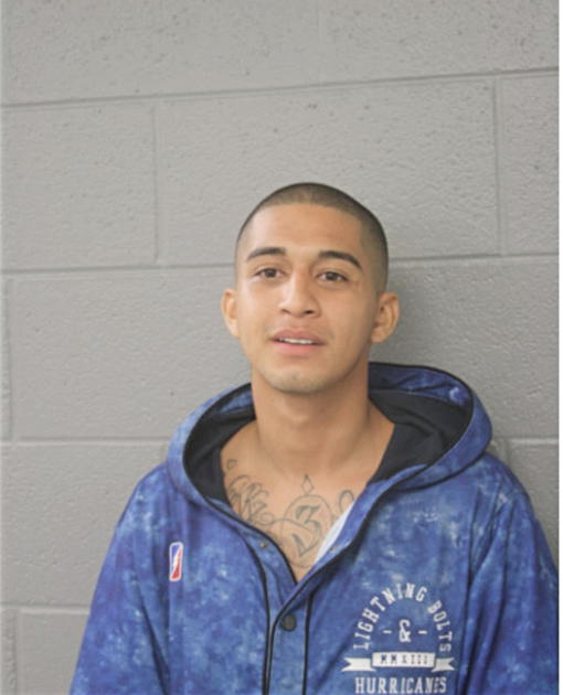 JULIO ANGEL, Cook County, Illinois