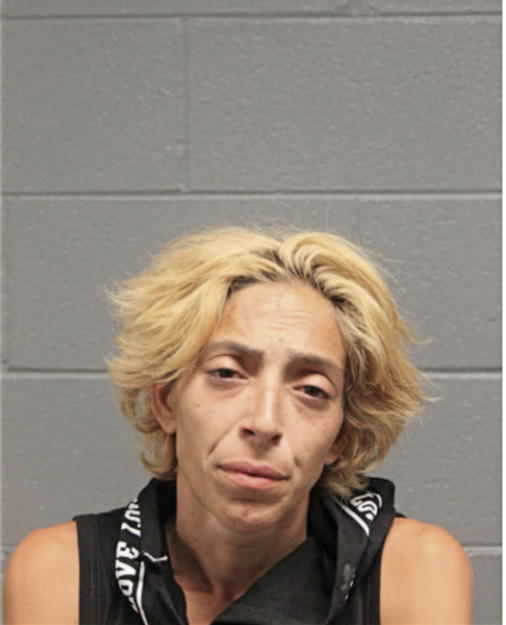 AMARILYS DELRIO, Cook County, Illinois