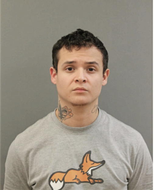 PAOLO C FIGUR, Cook County, Illinois