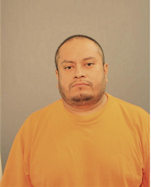 ROBERT FLORES, Cook County, Illinois