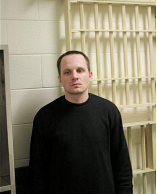 CARL A FREEMAN, Cook County, Illinois