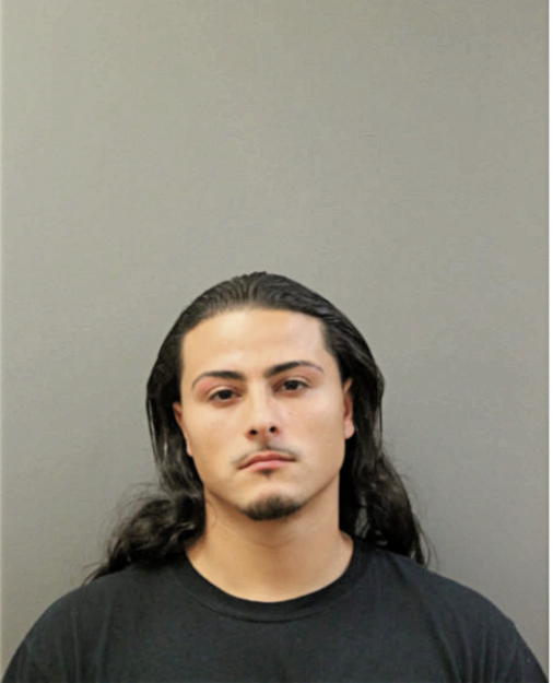 RAUL R FUENTES, Cook County, Illinois