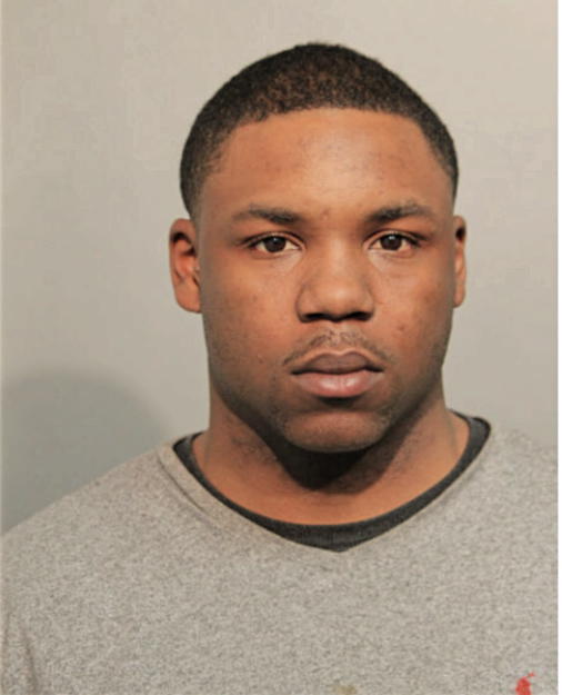 BRUCE D HAWK, Cook County, Illinois