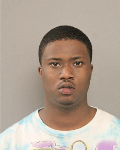 RONNIE T HENDRICKS, Cook County, Illinois
