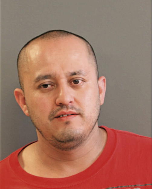 ROMELIO HERNANDEZ, Cook County, Illinois