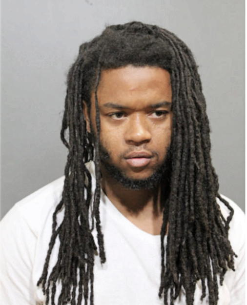 JOHNNY J JOHNSON, Cook County, Illinois