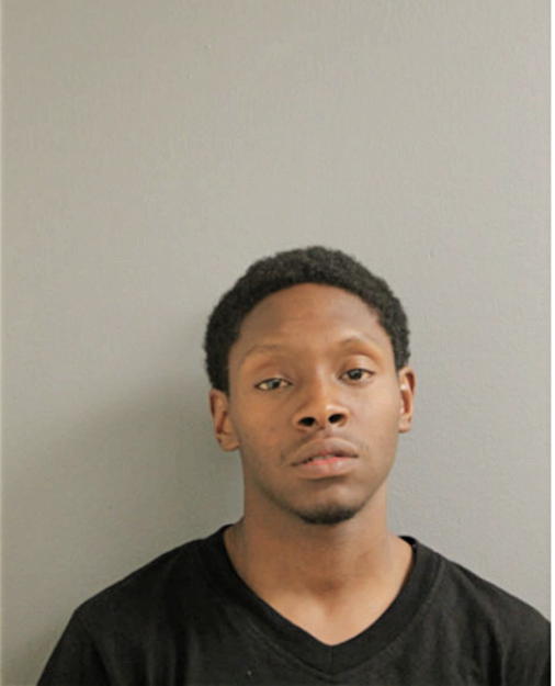 DEMETRICE B L DAVIS, Cook County, Illinois