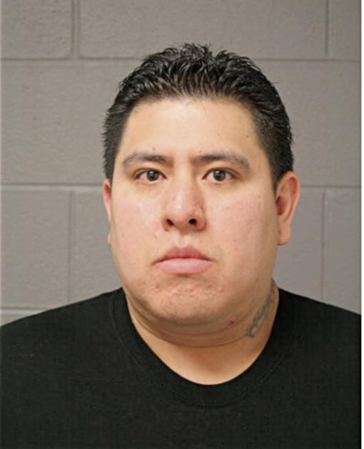JOSE GERARDO LEDESMA, Cook County, Illinois